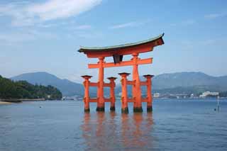 fotografia, material, livra, ajardine, imagine, proveja fotografia,Otorii de santuário de Itsukushima-jinja, A herança cultural de mundo, Otorii, Santuário de Xintoísmo, Eu sou vermelho de cinábrio