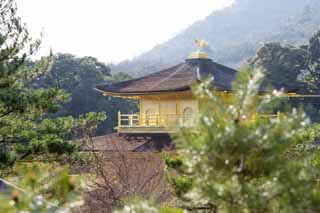 fotografia, material, livra, ajardine, imagine, proveja fotografia,Golden Temple reliquary Pavilhão Municipal, Herança mundial, Pavilhão dourado, Ashikaga Yoshimitsu, Kyoto