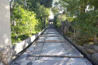 fotografia, material, livra, ajardine, imagine, proveja fotografia,Kodaiji Templo abordagem, .., Declive de cozinha, Mausoléu, Templo de seita de zen