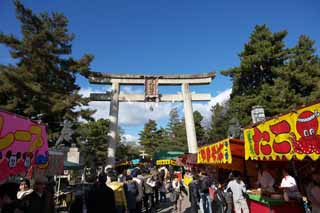 fotografia, material, livra, ajardine, imagine, proveja fotografia,Kitano Tenman-gu abordagem da torii, Torii, Mr. TENJIN, Kitano, Ameixas