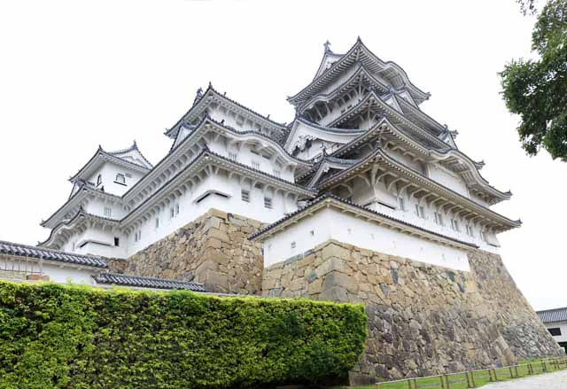 fotografia, material, livra, ajardine, imagine, proveja fotografia,Himeji-jo Castelo, Quatro Castelo de tesouros nacional, Sadanori Akamatsu, Shigetaka Kuroda, Hideyoshi Hashiba