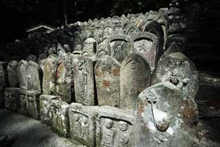 fotografia, material, livra, ajardine, imagine, proveja fotografia,Ishibotoke de templo de Hase-dera, serviço comemorativo, Ishibotoke, Chaitya, Mitera da flor