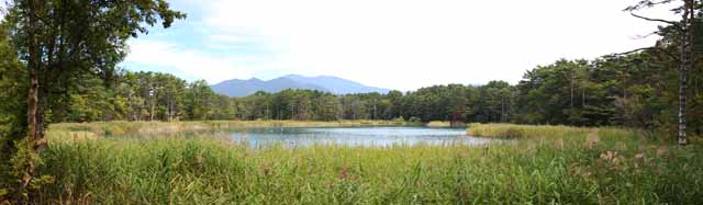 fotografia, material, livra, ajardine, imagine, proveja fotografia,Esposa de lago de zen-padre principal, floresta, lagoa, Cerúleo azul, Mt. Bandai-san