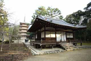 fotografia, material, livra, ajardine, imagine, proveja fotografia,Templo de Daigo-ji santuário de Kiyotaki santuário dianteiro, Chaitya, Kiyotaki título honorífico de um deus japonês, Corporação de deidade local, shoji