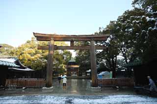 fotografia, material, livra, ajardine, imagine, proveja fotografia,Meiji Santuário torii, O imperador, Santuário de Xintoísmo, torii, Neve