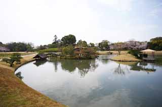 fotografia, material, livra, ajardine, imagine, proveja fotografia,A lagoa do Koraku-en Jardim pântano, barraca descansando, castelo, árvore de cereja, Japonês ajardina