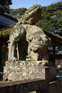 fotografia, material, livra, ajardine, imagine, proveja fotografia,Matsue-jo par de Castelo de pedra cachorros guardiões, Santuário de Xintoísmo, cachorro de topo, Xintoísmo, apedreje estátua