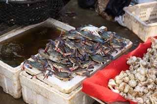 fotografia, materiale, libero il panorama, dipinga, fotografia di scorta,Un mercato di profitto rosso e profondo, mercato, stalla stradale, Facendo compere, Vita