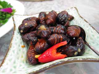 Foto, materieel, vrij, landschap, schilderstuk, bevoorraden foto,Hét fruiten-boven van hét silkworm, Silkworm, Pupa, Insect etenswaar, Chinees etenswaar