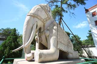 photo, la matière, libre, aménage, décrivez, photo de la réserve,Une image d'éléphant PutuoZongchengTemple, Tibet, Chaitya, Je suis splendide, éléphant