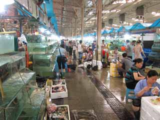 fotografia, materiale, libero il panorama, dipinga, fotografia di scorta,Un mercato di orlo orientale, negozio, mercato, i pesci fanno compere, È vivace