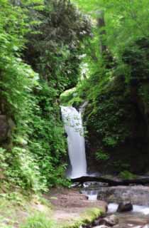 photo, la matière, libre, aménage, décrivez, photo de la réserve,Chute d'eau Ryugaeshi, chute d'eau, rivière, vert tendre, 