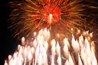 fotografia, materiale, libero il panorama, dipinga, fotografia di scorta,Mostra di fuochi artificiali di fiume di Tama, Fuoco artificiale che lanciano, la naturale scena od oggetto che aggiungono fascino poetico alla stagione dell'estate, Segnali fuoco, Luminosità