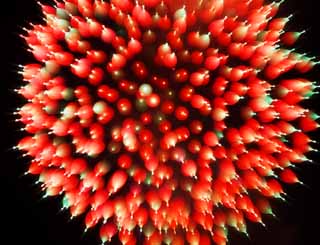 fotografia, materiale, libero il panorama, dipinga, fotografia di scorta,Mostra di fuochi artificiali di fiume di Tama, Fuoco artificiale che lanciano, la naturale scena od oggetto che aggiungono fascino poetico alla stagione dell'estate, Segnali fuoco, Luminosità