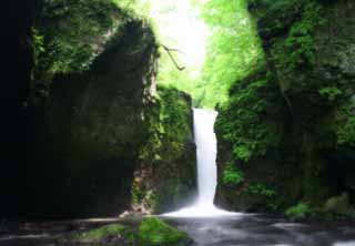 photo, la matière, libre, aménage, décrivez, photo de la réserve,Chute d'eau Ryugaeshi, chute d'eau, rivière, vert tendre, 