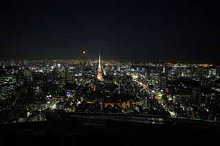 foto,tela,gratis,paisaje,fotografía,idea,Una vista de noche de Tokio, Tokyo Tower, Grupo de edificio, La área del centro de la ciudad, Edificio alto