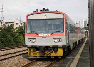 foto,tela,gratis,paisaje,fotografía,idea,Un ferrocarril coreano, , KORAIL, Vehículo, Tren