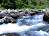 Foto, materiell, befreit, Landschaft, Bild, hat Foto auf Lager,Das Murmeln von einem Strom, schäumendes Wasser, Stromschnellen, Strom, 