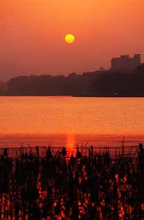 photo, la matière, libre, aménage, décrivez, photo de la réserve,Crépuscule du Xi-hu lac, lotus, Le soleil, Mettant soleil, La surface de l'eau