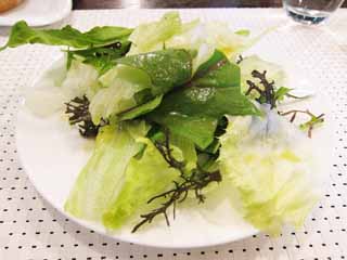 Ôîòî, ìàòåðèàëüíûé, ñâîáîäíûé, ïåéçàæ, ôîòîãðàôèÿ, ôîòî ôîíäà.,Salad, lettuce, Seaweed, Îäåâàíèå, Salad