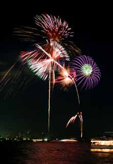 fotografia, materiale, libero il panorama, dipinga, fotografia di scorta,Baia di Tokio il grande fuochi artificiali, fuoco d'artificio, notte, lancio, uno-piede palla di fuoco d'artificio