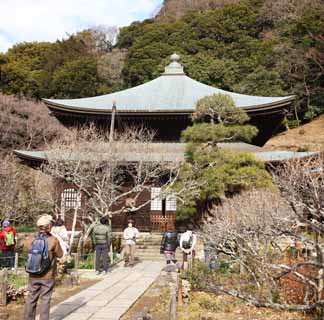 fotografia, materiale, libero il panorama, dipinga, fotografia di scorta,Tempio di Zuisen-ji sanctum buddista, Chaitya, Zen Buddismo-come giardino, Kamakura, La letteratura dei cinque tempi Zen