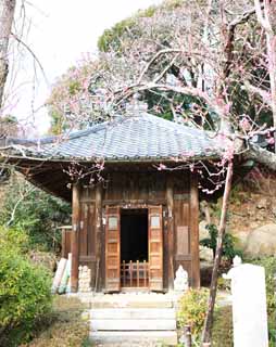 foto,tela,gratis,paisaje,fotografía,idea,Temple Jizo santuario de Zuisen - ji, Chaitya, Jardín Zen Budismo -like, Kamakura, Literatura de los cinco templos de Zen