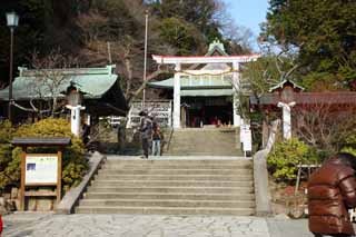 foto,tela,gratis,paisaje,fotografía,idea,Santuario de Kamakura - gu, Santuario sintoísta, El Emperor Meiji, Kamakura, Masashige Kusuki