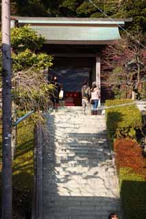 foto,tela,gratis,paisaje,fotografía,idea,Un enfoque de EgaraTenjin - shaShrine para un santuario, Santuario sintoísta, Escalera de piedra, Kamakura, Tenjin de cólera