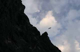 photo, la matière, libre, aménage, décrivez, photo de la réserve,Un cerf-volant au-dessus d'une falaise, falaise, cerf-volant, ciel, nuage