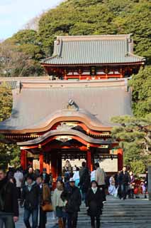 foto,tela,gratis,paisaje,fotografía,idea,Santuario de Hachiman - gu, Kamakura, Santuario de Hachiman, Oración, 