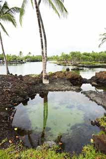 fotografia, material, livra, ajardine, imagine, proveja fotografia,MaunaLani pescam libra, Lava, Um altar, lagoa, Pesca