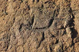 fotografia, materiale, libero il panorama, dipinga, fotografia di scorta,Puako Petroglyph, Lavico, Chiuda arte a chiave, Petroglyph, kaha-kii