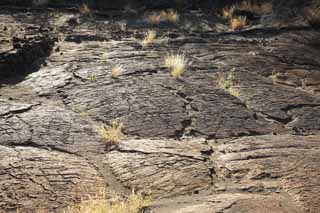 Foto, materiell, befreit, Landschaft, Bild, hat Foto auf Lager,Puako Petroglyph, Lava, Schließen Sie Kunst ab, Petroglyph, kaha-kii