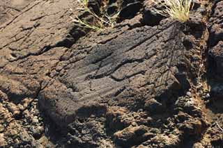 fotografia, materiale, libero il panorama, dipinga, fotografia di scorta,Puako Petroglyph, Lavico, Chiuda arte a chiave, Petroglyph, kaha-kii