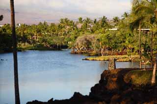 foto,tela,gratis,paisaje,fotografía,idea,Libra de pez de MaunaLani, Lava, Un altar, Laguna, Pesquería