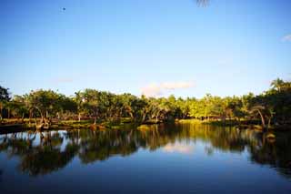 foto,tela,gratis,paisaje,fotografía,idea,MaunaLani de sitio de poder, Lava, Un altar, Laguna, Pesquería