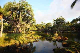 foto,tela,gratis,paisaje,fotografía,idea,Libra de pez de MaunaLani, Lava, Un altar, Laguna, Pesquería