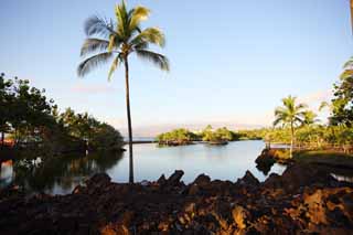 foto,tela,gratis,paisaje,fotografía,idea,Libra de pez de MaunaLani, Lava, Un altar, Laguna, Pesquería