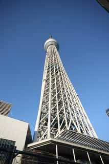 foto,tela,gratis,paisaje,fotografía,idea,Mire el árbol de cielo, Una torre de ola eléctrica, Sitio de turismo, Torre, Cielo azul