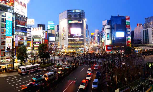 photo,material,free,landscape,picture,stock photo,Creative Commons,Shibuya free intersection, crowd, walker, bus, signboard