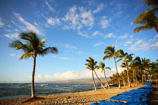 fotografia, materiale, libero il panorama, dipinga, fotografia di scorta,Hawaii spiaggia dell'isola, , , , 