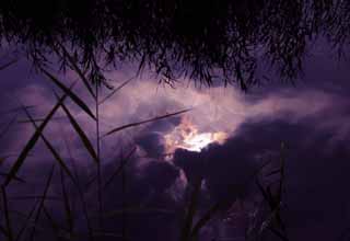 photo, la matière, libre, aménage, décrivez, photo de la réserve,Nuage pourpre sur une surface de l'eau, surface d'eau, soleil, nuage, luminosité