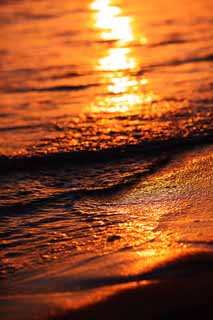 fotografia, materiale, libero il panorama, dipinga, fotografia di scorta,La spiaggia di Waikiki, , , , 