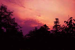 fotografia, material, livra, ajardine, imagine, proveja fotografia,Brilho de amanhecer em uma madeira, brilho de amanhecer, vermelho, céu, HimenumPond