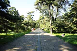 Foto, materieel, vrij, landschap, schilderstuk, bevoorraden foto,Fuling Tomb Shinto, , , , 