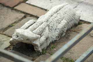 photo,material,free,landscape,picture,stock photo,Creative Commons,Sculpture of Fuling Tomb lion, , , , 