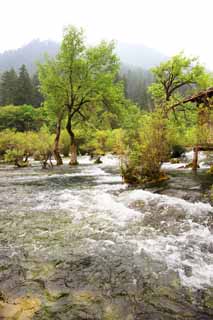 foto,tela,gratis,paisaje,fotografía,idea,Bonsai de Jiuzhaigou nada, , , , 