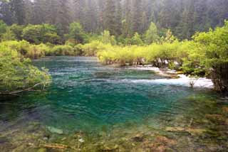 foto,tela,gratis,paisaje,fotografía,idea,Bonsai de Jiuzhaigou nada, , , , 