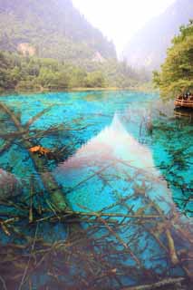 photo, la matière, libre, aménage, décrivez, photo de la réserve,Gohanaumi Jiuzhaigou, , , , 